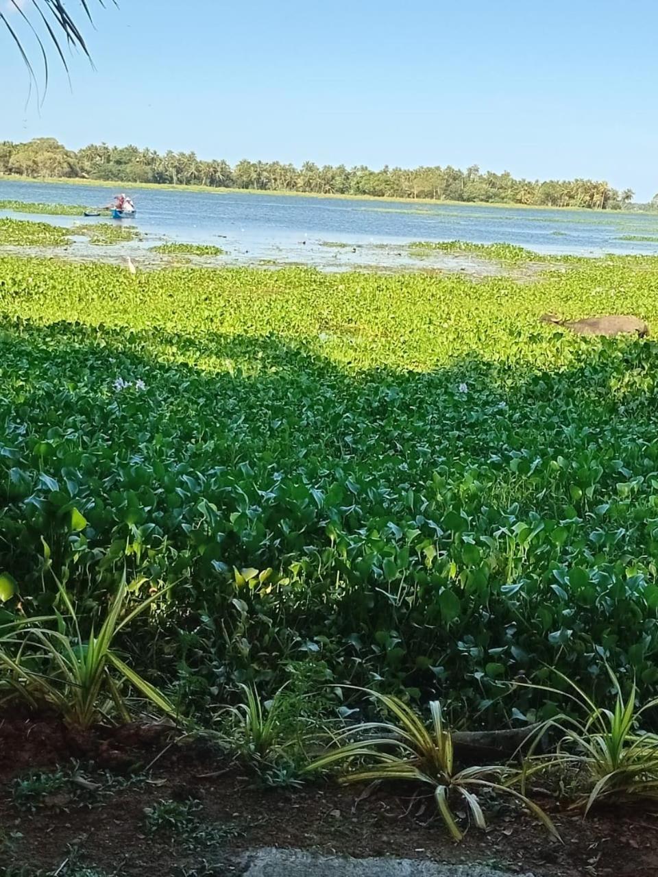 טיסמהרמה Lake Face Cabana מראה חיצוני תמונה